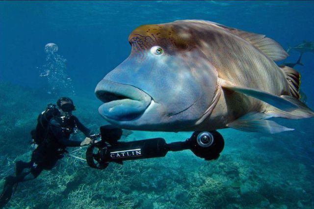 morning picdump 55 pics 10.html - 55 HD Photos | Premium Gallery 2013