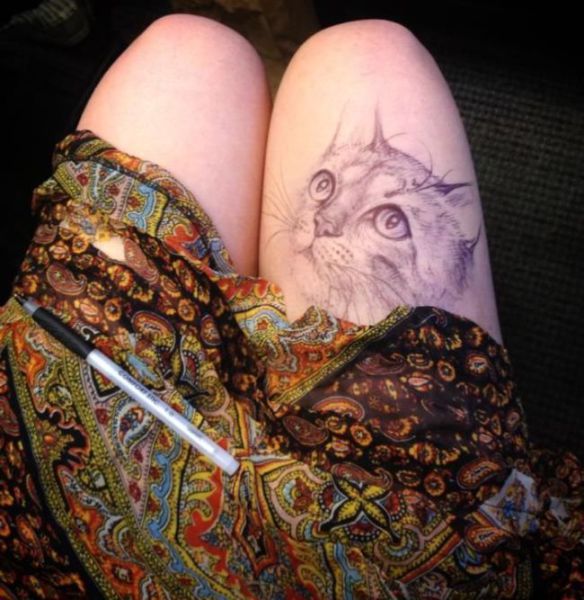 Morning Picdump