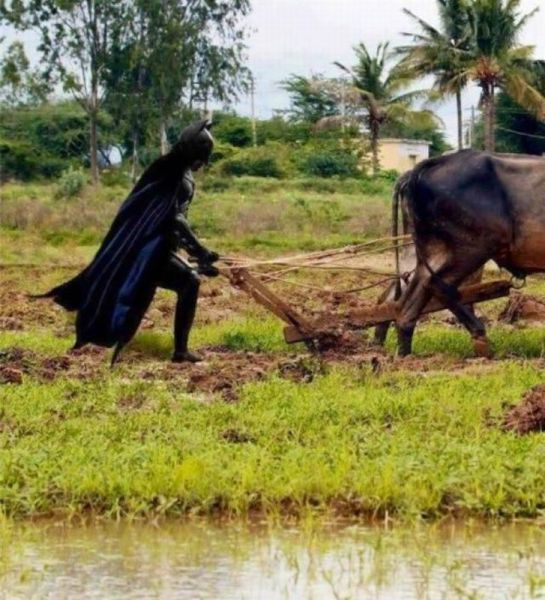 Morning Picdump