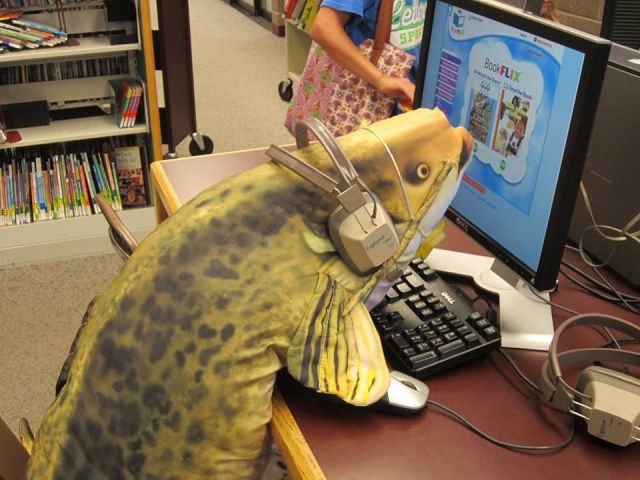 Morning Picdump