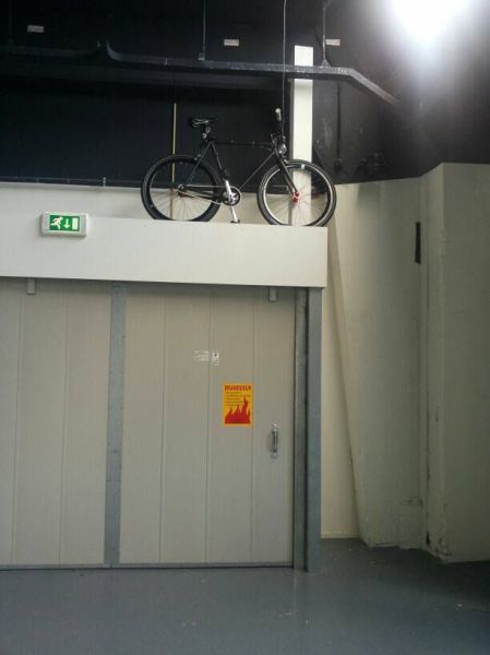 Morning Picdump