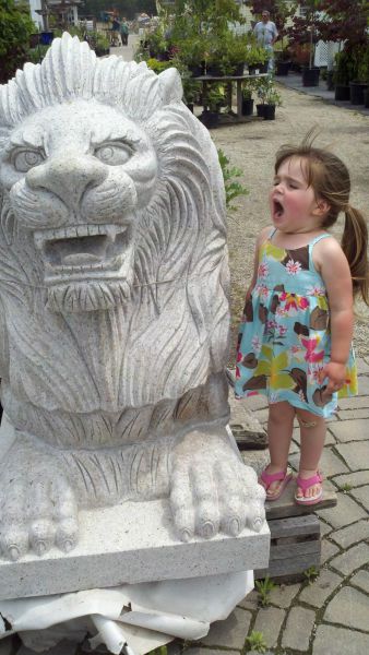Morning Picdump