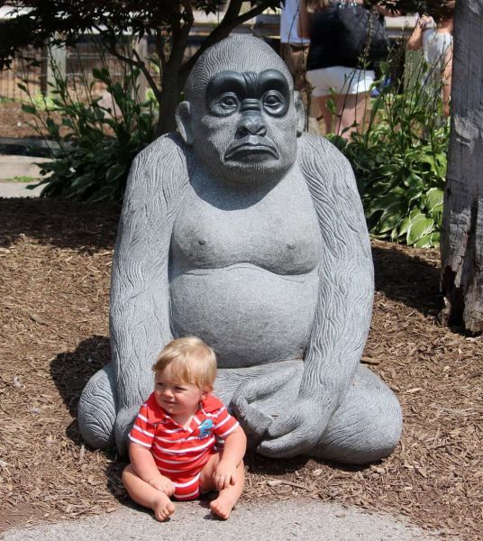 Morning Picdump