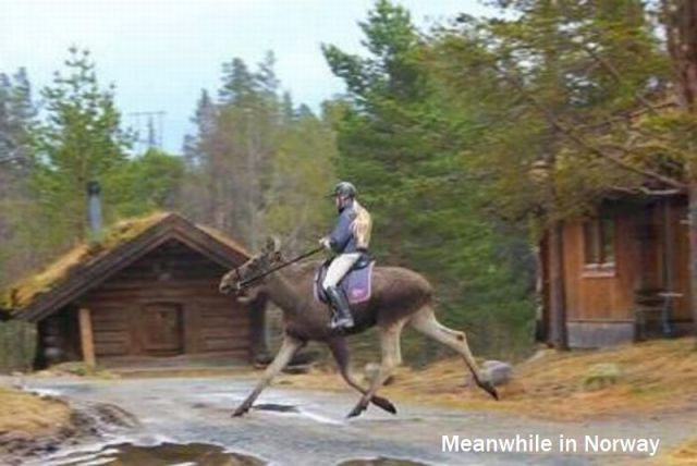 Morning Picdump