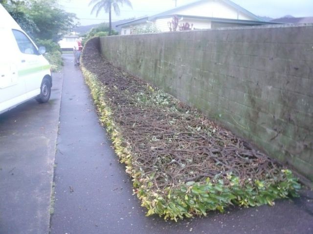 morning picdump 54 pics 1.html - 54 HD Photos | Premium Gallery 2013