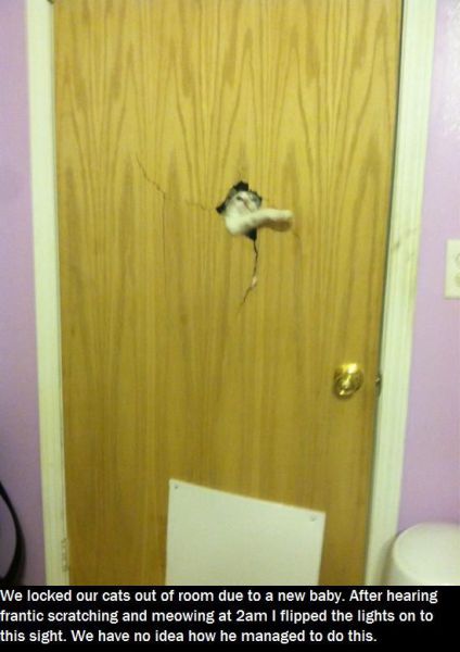 morning picdump 55 pics 10.html - 55 HD Photos | Premium Gallery 2013