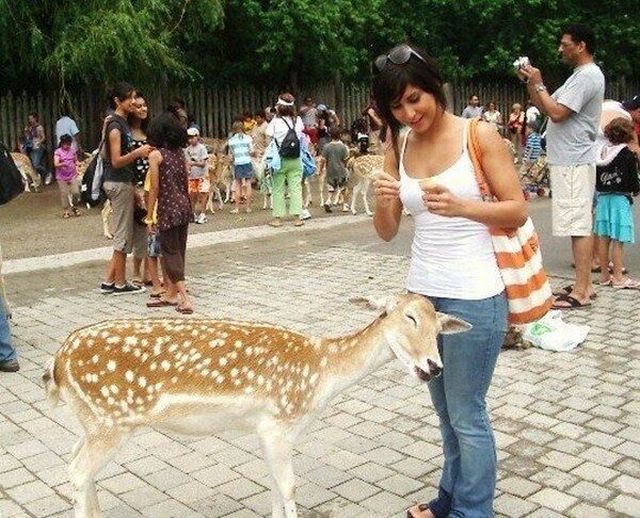 morning picdump 55 pics 10.html - 55 HD Photos | Premium Gallery 2013