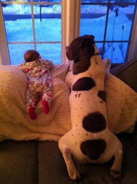 Morning Picdump