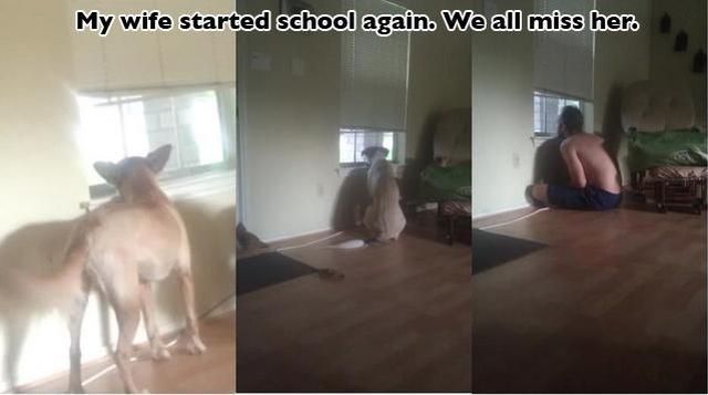 Morning Picdump