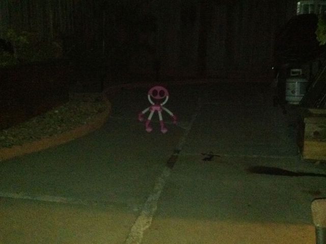 Morning Picdump