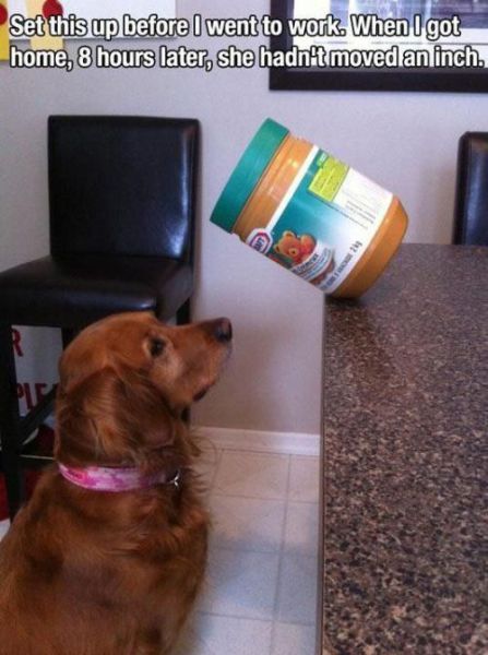 morning picdump 53 pics 1.html - 53 HD Photos | Premium Gallery 2013