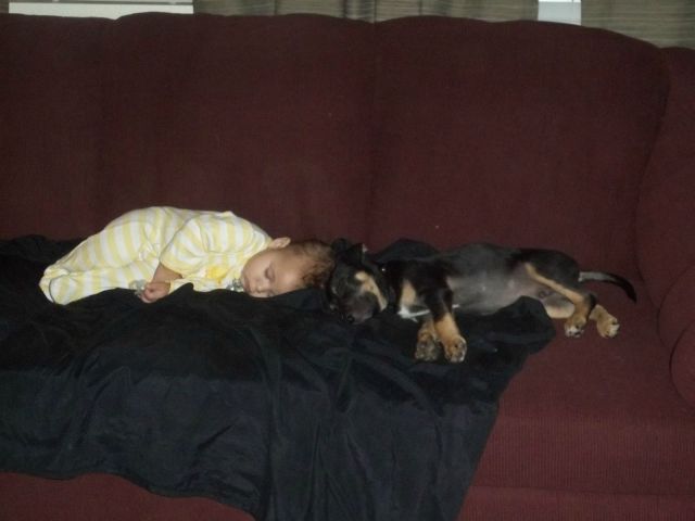 morning picdump 57 pics 14.html - 57 HD Photos | Premium Gallery 2013