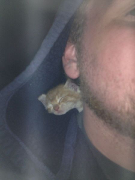 morning picdump 55 pics 4.html - 55 HD Photos | Premium Gallery 2013