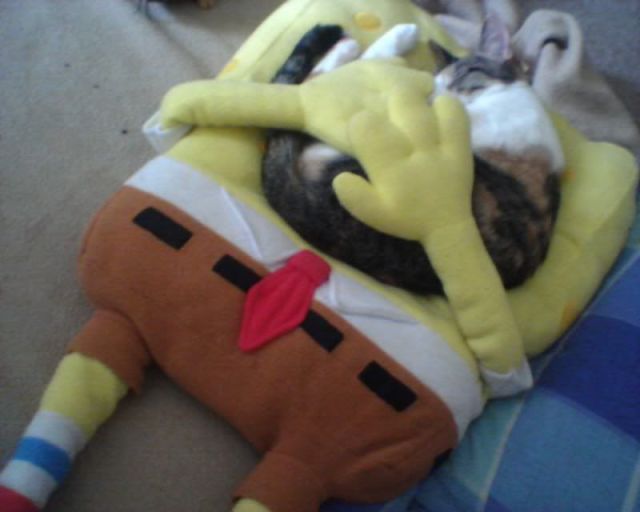 morning picdump 52 pics 10.html - 52 HD Photos | Premium Gallery 2013