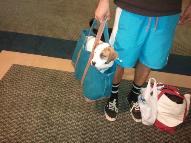 Morning Picdump
