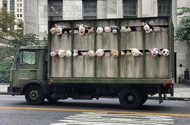 Morning Picdump