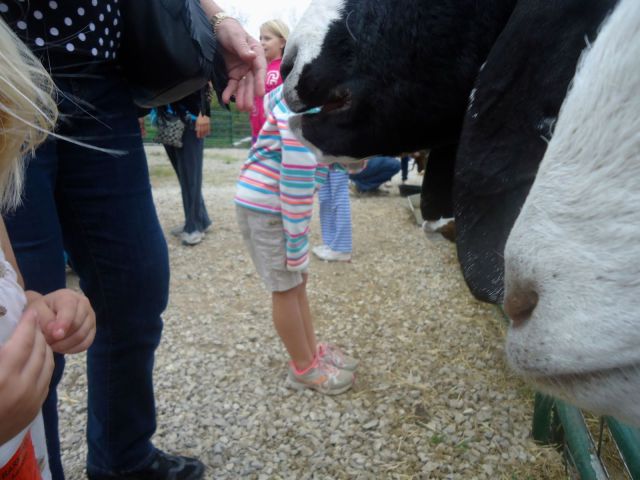 morning picdump 57 pics 3.html - 57 HD Photos | Premium Gallery 2013
