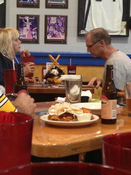morning picdump 57 pics 3.html - 57 HD Photos | Premium Gallery 2013