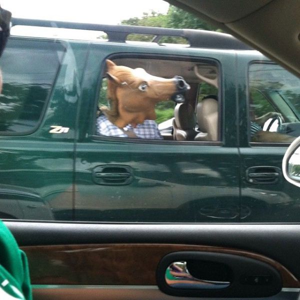 morning picdump 57 pics 3.html - 57 HD Photos | Premium Gallery 2013