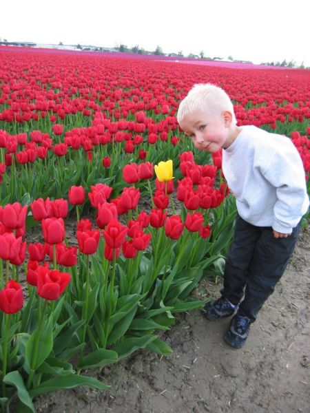 morning picdump 57 pics 3.html - 57 HD Photos | Premium Gallery 2013