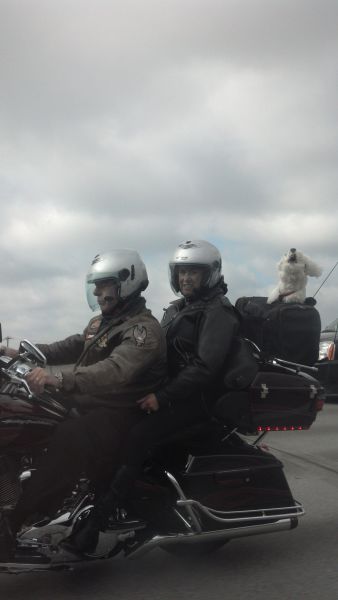 morning picdump 57 pics 3.html - 57 HD Photos | Premium Gallery 2013