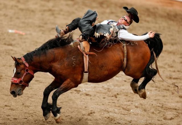 morning picdump 57 pics 1.html - 57 HD Photos | Premium Gallery 2013