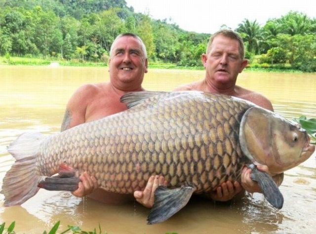 Morning Picdump