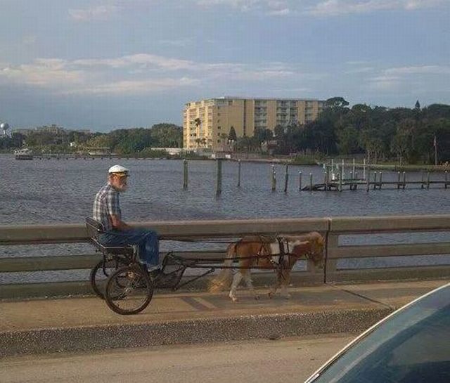 morning picdump 54 pics 8.html - 54 HD Photos | Premium Gallery 2013