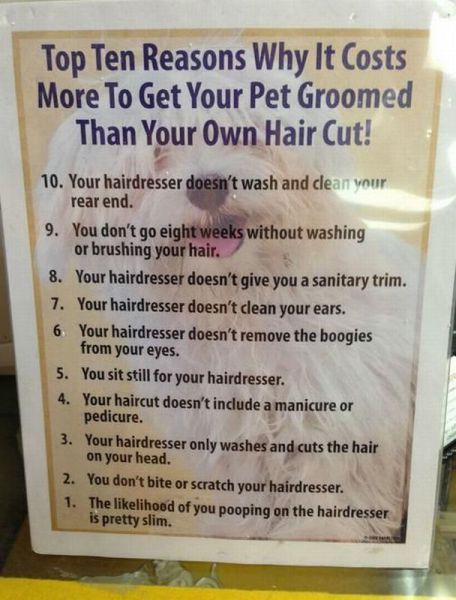 morning picdump 54 pics 8.html - 54 HD Photos | Premium Gallery 2013