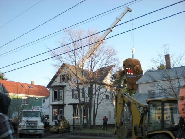 morning picdump 57 pics 18.html - 57 HD Photos | Premium Gallery 2013