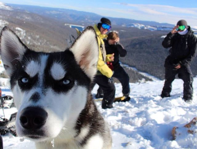 morning picdump 57 pics 18.html - 57 HD Photos | Premium Gallery 2013