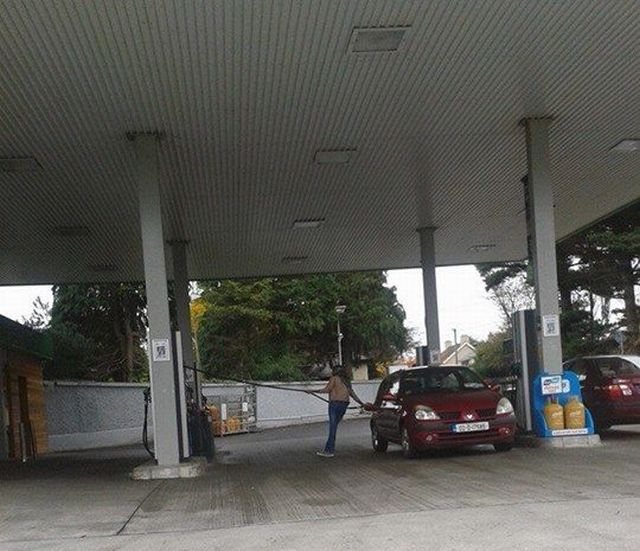 Morning Picdump