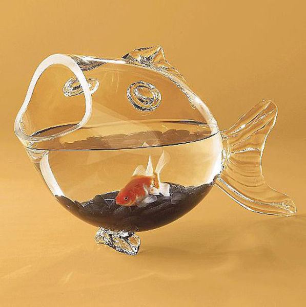 The Strangest Gadgets That Might Just Be Genius
