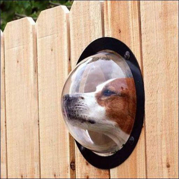 The Strangest Gadgets That Might Just Be Genius