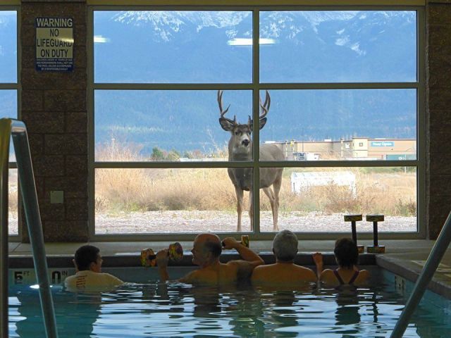 Daily Picdump