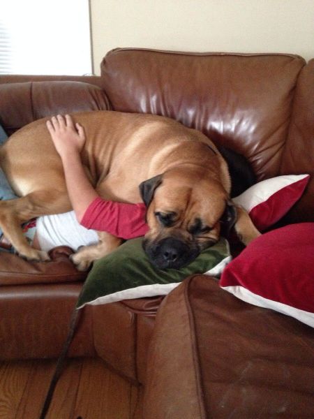 Daily Picdump