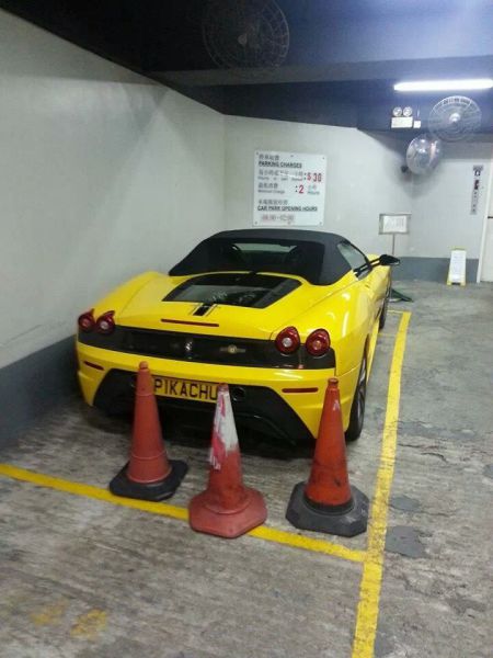 Daily Picdump