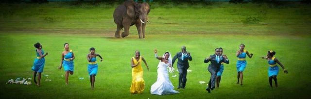 daily picdump 95 pics 1.html - 95 HD Photos | Premium Gallery 2013