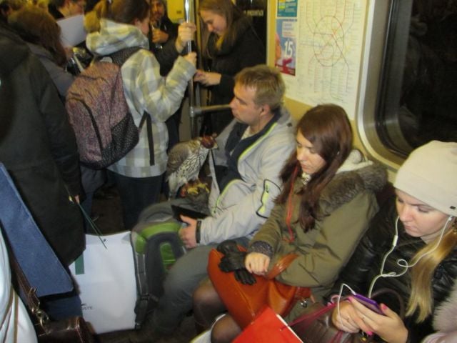 daily picdump 95 pics 1.html - 95 HD Photos | Premium Gallery 2013