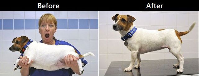 daily picdump 95 pics 1.html - 95 HD Photos | Premium Gallery 2013