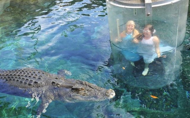 daily picdump 95 pics 1.html - 95 HD Photos | Premium Gallery 2013