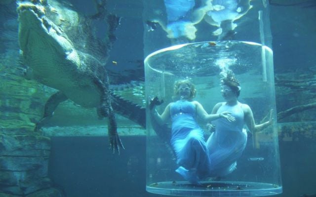 daily picdump 95 pics 1.html - 95 HD Photos | Premium Gallery 2013