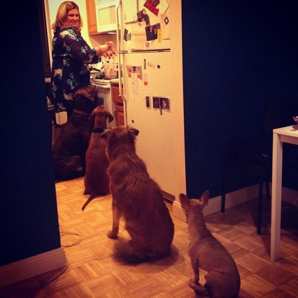 daily picdump 95 pics 1.html - 95 HD Photos | Premium Gallery 2013