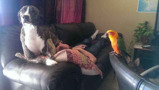 daily picdump weekend edition 94 pics 19.html - 94 HD Photos | Premium Gallery 2013