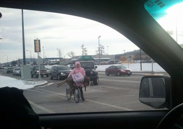 daily picdump weekend edition 94 pics 19.html - 94 HD Photos | Premium Gallery 2013