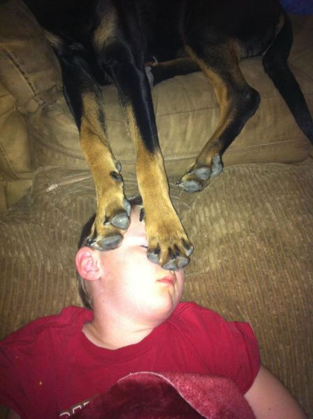 daily picdump weekend edition 94 pics 19.html - 94 HD Photos | Premium Gallery 2013