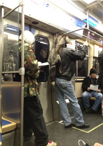 morning picdump 54 pics 10.html - 54 HD Photos | Premium Gallery 2013