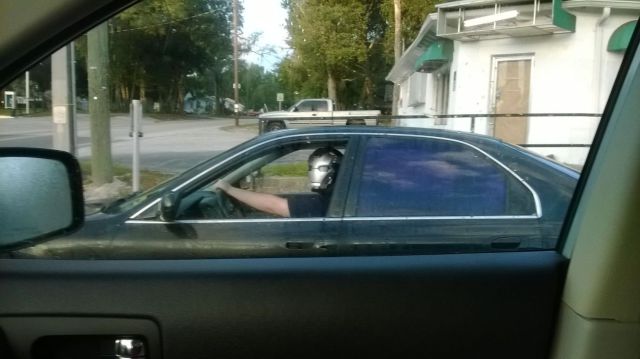 morning picdump 54 pics 10.html - 54 HD Photos | Premium Gallery 2013