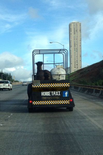 morning picdump 54 pics 1.html - 54 HD Photos | Premium Gallery 2013
