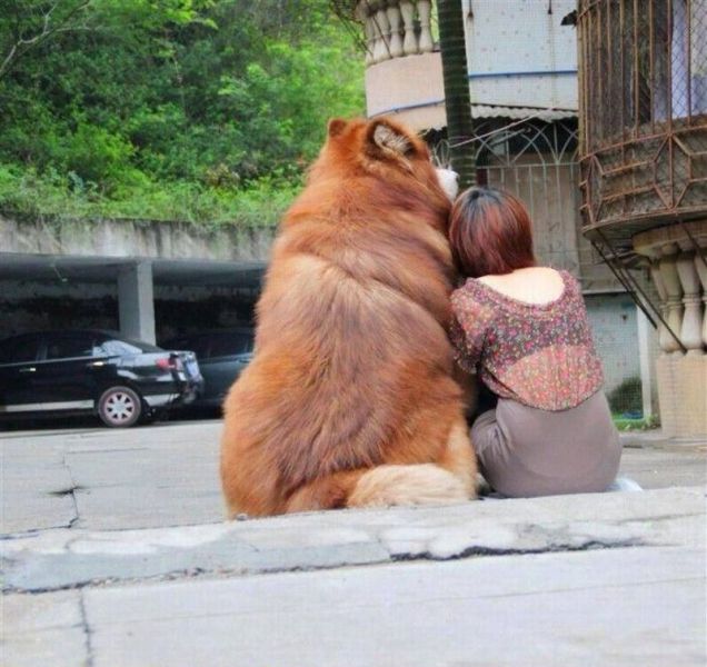 morning picdump 51 pics 1.html - 51 HD Photos | Premium Gallery 2013